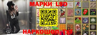 дмт Славгород