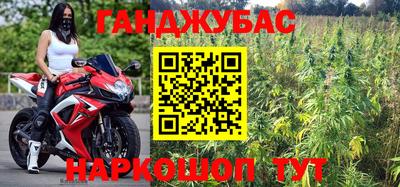 дмт Славгород