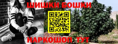 ГАЛЛЮЦИНОГЕННЫЕ ГРИБЫ Сланцы