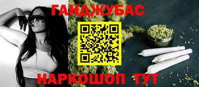 дмт Славгород